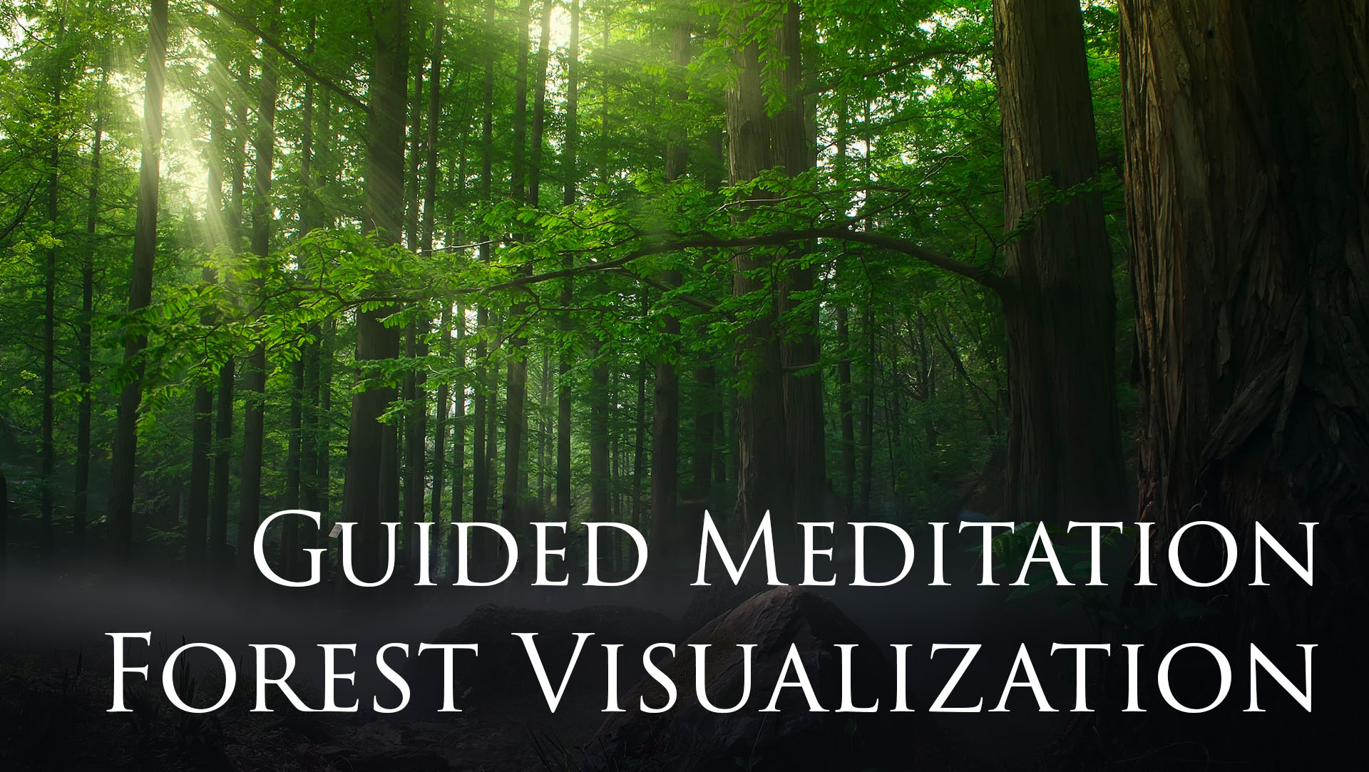 Guided Meditation - Forest Visualization